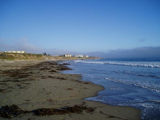 Sandy beach with some sea weed